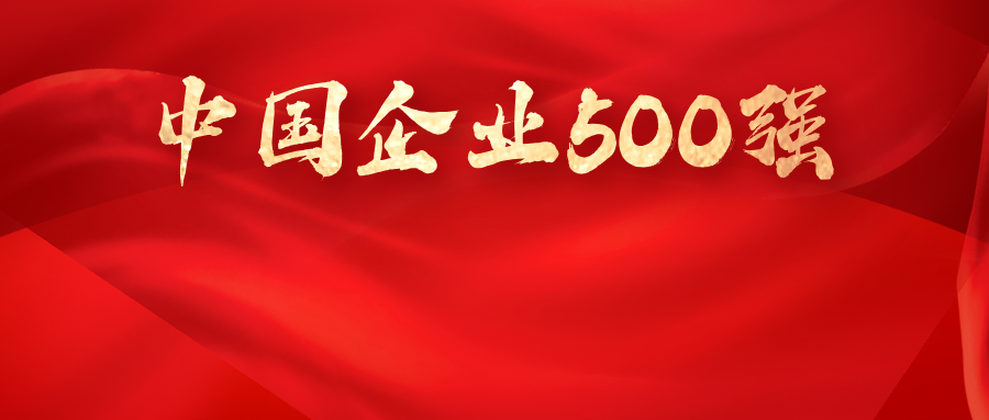 喜报丨公海彩船6600入选2025中国企业500强 位列456名